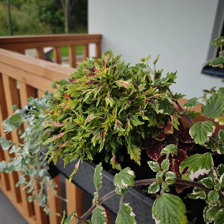 Na Skraju - - Rekreacyjne Lokal D Ferienhaus Pogorzelica (Gmina Rewal)