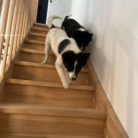 Na Skraju - - Rekreacyjne Lokal D Ferienhaus Pogorzelica (Gmina Rewal)