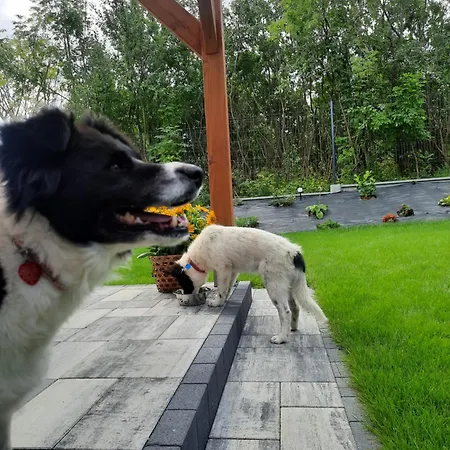 Na Skraju - - Rekreacyjne Lokal D Ferienhaus